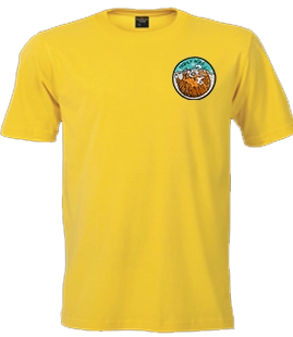 Yellow Solid Round Neck Shirt