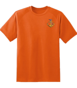 Orange Solid Round Neck Shirt